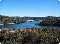 Views Of The Lake